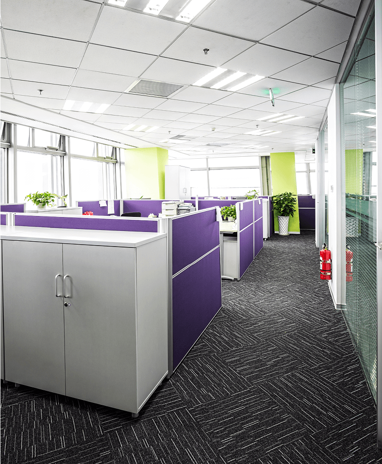 Modern office with purple cubicles and plants.